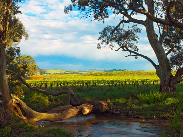 Adelaide_Barossa Valley