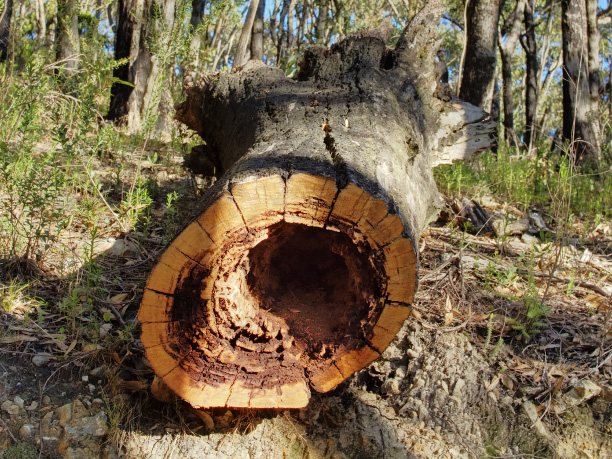 Adelaide_Cleland Conservation Park