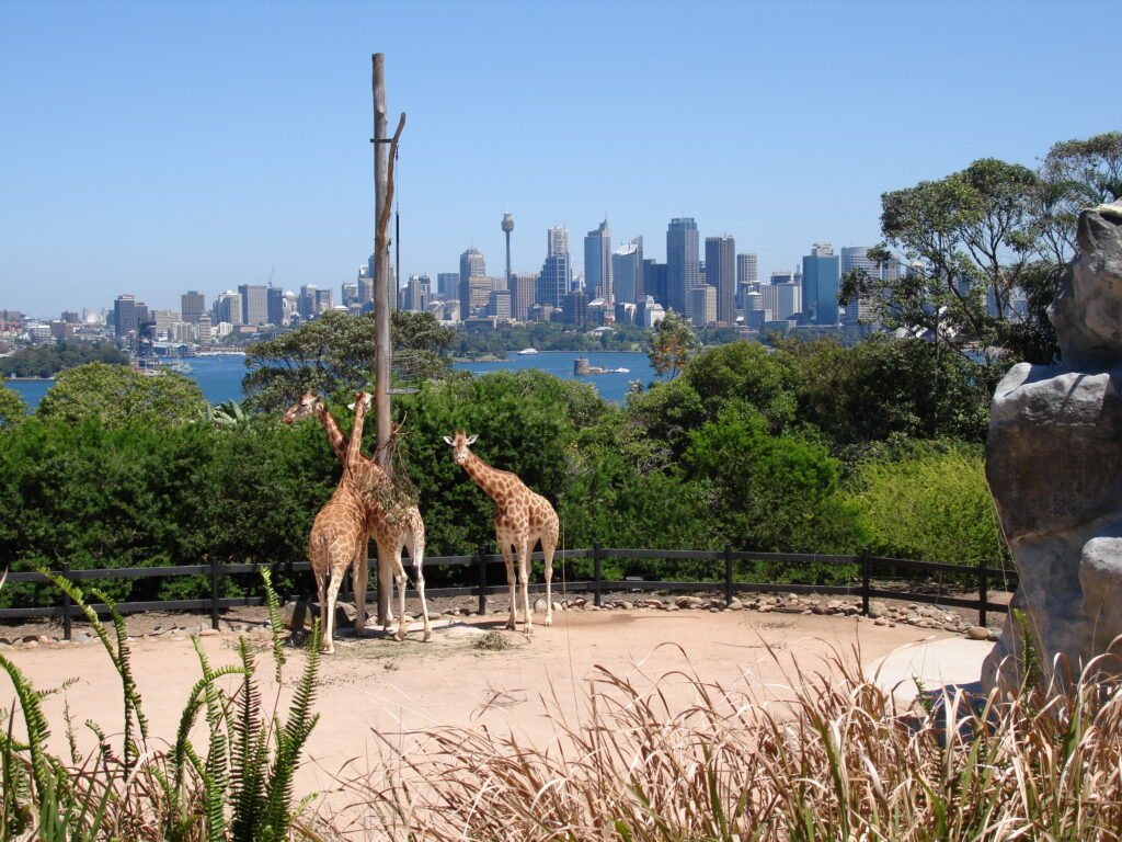 Taronga Zoo