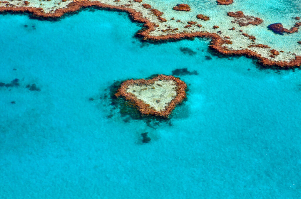 Great Barrier Reef, Queensland: